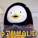 손수 Daum카페