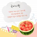 컴퓨터활용능력2급자격증(실기) 이미지