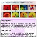 성산의료기 이미지