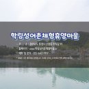 학림섬어촌체험휴양마을 이미지