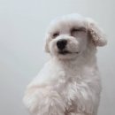 나는미용사다 이미지