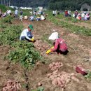 외리농장 이미지