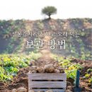 황금농산 이미지