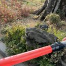 석부작박물관 | 부모님도 아이도 대만족! 제주 남쪽 여행 포토스팟, 귤과 동백꽃을 동시에 숨도, 귤림성 (내돈내산 후기)