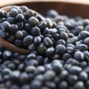 성실농장 이미지