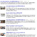 스톤 협동조합 네이버블로그