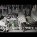 플래닛피플 이미지