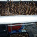 진산농장 이미지