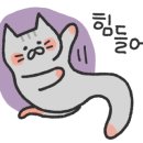 미선야채 이미지