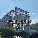 SH골프랜드 | 골프레슨 SH파3미니골프장 칠곡 약목면 가격 위치 주소 주차 후기 추천