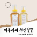 생방송투데이에 나온 천연벌꿀/달리아의 아우라지 야생화꿀 auraji honey~