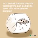 한국특산물