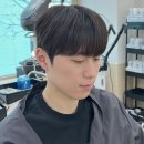 오브르헤어 이미지