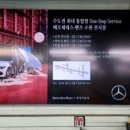 코투스애드