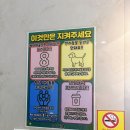 디엔예스 이미지