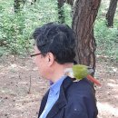 선덕공인중개사사무소 이미지