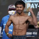 BOXING STAR 이미지