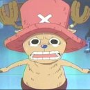 트리플 짐 이미지