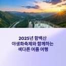 2025년 여름 강원도 정선 여행 코스 추천 - 야생화축제, 레일바이크, 케이블카까지