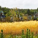 김해가야테마파크 이미지