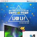 대풍할인마트 인벤
