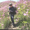 산야로 이미지