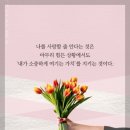 전박사 Daum카페