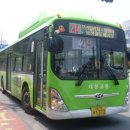 사파동214 이미지