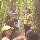 양서 초등학교 이미지