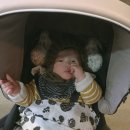 세유한의원 네이버블로그