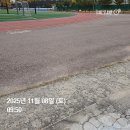 주식회사 메가컴퍼니 | 벌써 11월 중