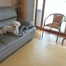 더가치