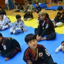 강서구민올림픽  체육센터 이미지