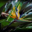 유수암돌집 민박 이미지