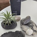 이오비즈 이미지