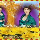 빙빙빙 이미지