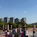 경주 스쿠터 라이딩 여행 - 용산회식당, 경주타워, 경주엑스포대공원