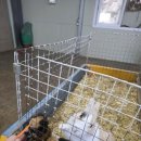 유동목장 이미지