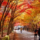 주정차003 이미지