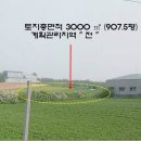 충남 당진시 "농지(제조장 최적지)"-신평면 신흥리"계획관리 전 908평"(2억8500만/0715)-19562 이미지