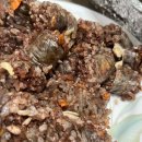 청담91떡볶이 - 강남구 도산대로57길 8 | 청담91떡볶이