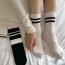 282 이미지