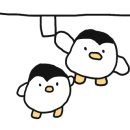 백가향 이미지