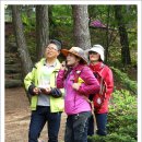 태학산자연휴양림 이미지