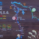 성환천 억새길 이미지