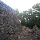 망마경기장 이미지