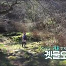 오늘 숲에는 [궷물오름 숲] KBS제주 240326방송 이미지