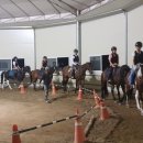 용인홀스트래킹 이미지