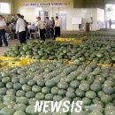 신엄농산물 직거래장터 이미지