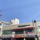 네일, 포레스트